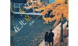 北京人在北京在线观看,云端尽享——北京人在北京在线观影指南