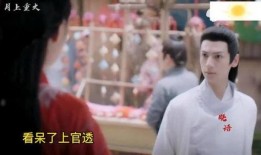 傻光的电视剧在线观看,穿越时空的甜蜜邂逅